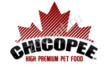 Chicopee