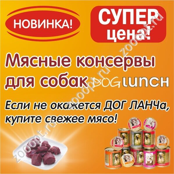 Дог сити черкесск. Дог сити интернет магазин. Дог сити, екатеринбург, улица токарей. Дог сити реклама зоомагазина. Дог сити черкесск телефоны.